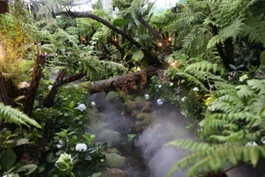 A Garden of Eden Cafe: A Hidden Oasis in Ho Chi Minh City - image 11