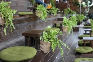 A Garden of Eden Cafe: A Hidden Oasis in Ho Chi Minh City - image 3