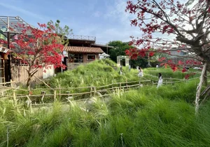 A Garden of Eden Cafe: A Hidden Oasis in Ho Chi Minh City - image 9