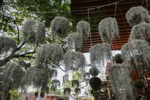 A Garden of Eden Cafe: A Hidden Oasis in Ho Chi Minh City - image 1