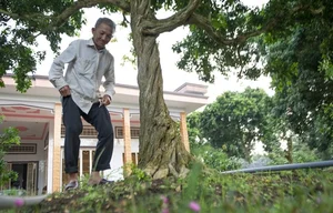 The Billion-Dong Transformation: From Common Hedge to Bonsai Masterpiece - image 2