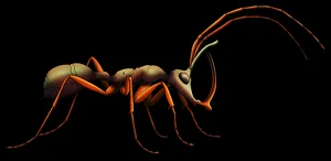 Discovery of the Oldest Prehistoric Hell Ant Species Ever Found - image 7