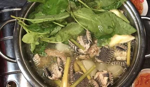 Discover the Must-Try Flavors of Quang Binh: A Culinary Journey Through Central Vietnam - image 5