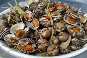 Discover the Must-Try Flavors of Quang Binh: A Culinary Journey Through Central Vietnam - image 1