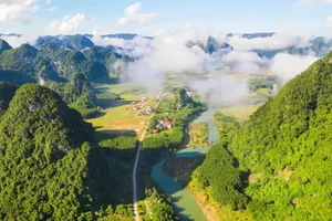 Discover the Must-Try Flavors of Quang Binh: A Culinary Journey Through Central Vietnam - image 10