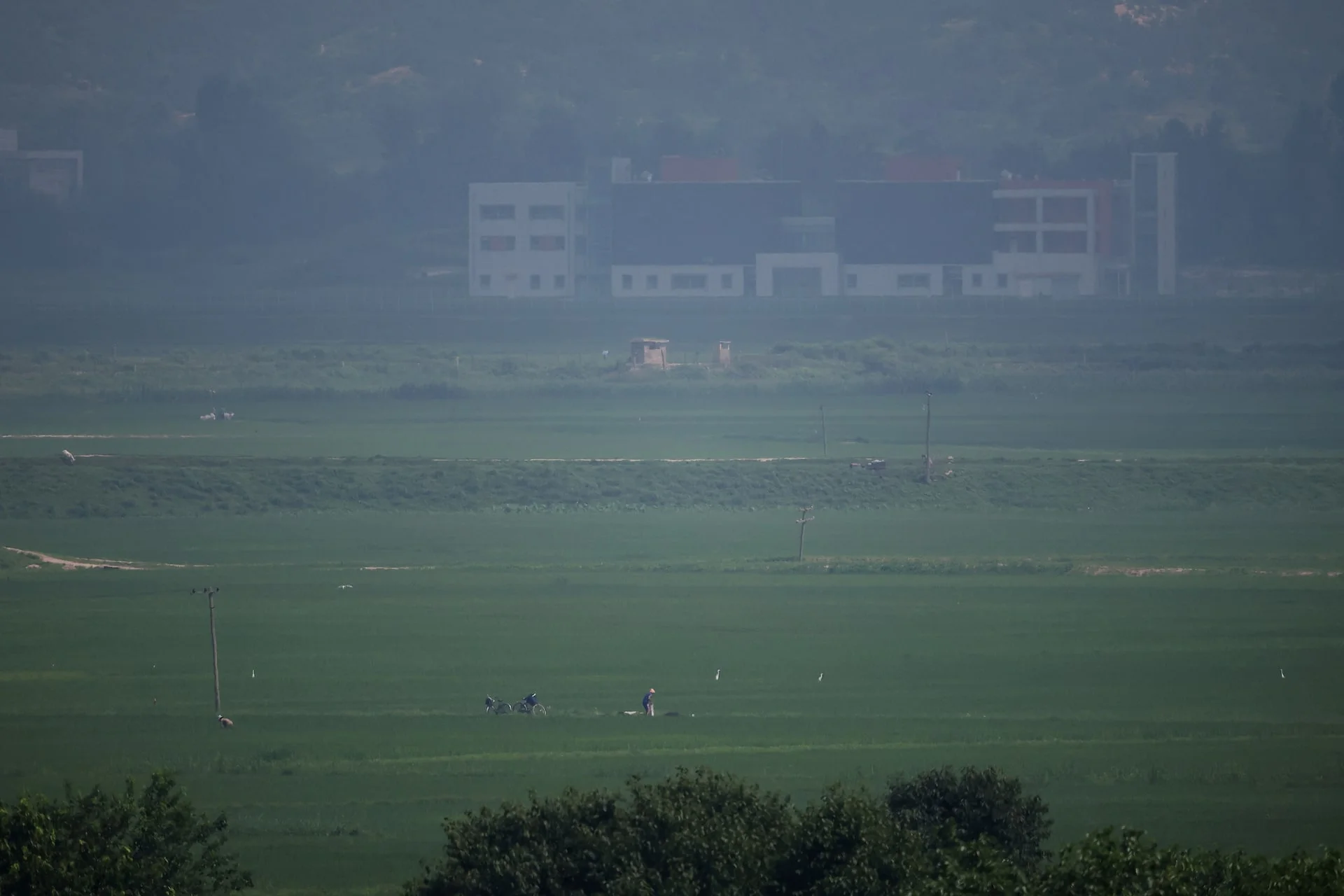 A Rare Perspective: Observing North Korean Life from the Borderlands