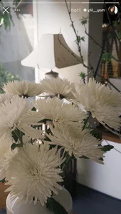 A Look at Tet Flowers in Vietnamese Celebrity Homes After 4 Days - image 5