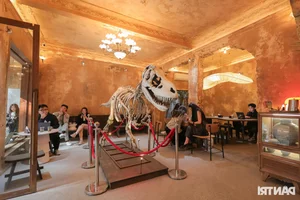 Hanoi’s Unique Dinosaur Bone Cafe: A Must-Visit for Curiosity Seekers - image 0