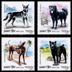 Discovering Vietnam's Four Great National Dog Breeds Through Iconic New Postage Stamps - image 6