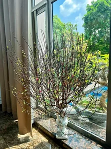 Dàn Sao Việt 'Flex' Cơ Ngơi Ngày Tết: Từ Biệt Thự Dát Vàng Đến Không Gian Truyền Thống - image 3