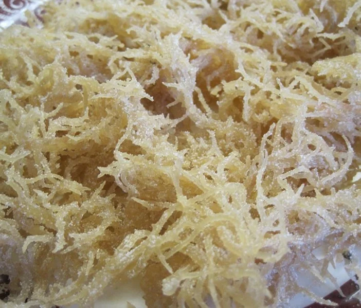 Rare Wild Vegetable Grown on Rocks Sold for 800,000 VND per Kilogram