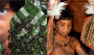Unveiling the Most Bizarre and Intriguing Customs Around the World - image 3