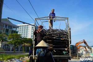 Coastal Transformation: Beachfront Restoration and Urban Planning Success in Vietnam - image 10