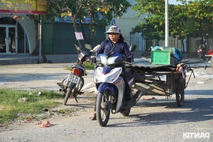 Coastal Transformation: Beachfront Restoration and Urban Planning Success in Vietnam - image 3