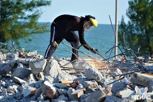 Coastal Transformation: Beachfront Restoration and Urban Planning Success in Vietnam - image 2