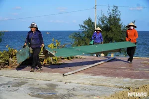 Coastal Transformation: Beachfront Restoration and Urban Planning Success in Vietnam - image 7