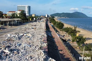 Coastal Transformation: Beachfront Restoration and Urban Planning Success in Vietnam - image 5