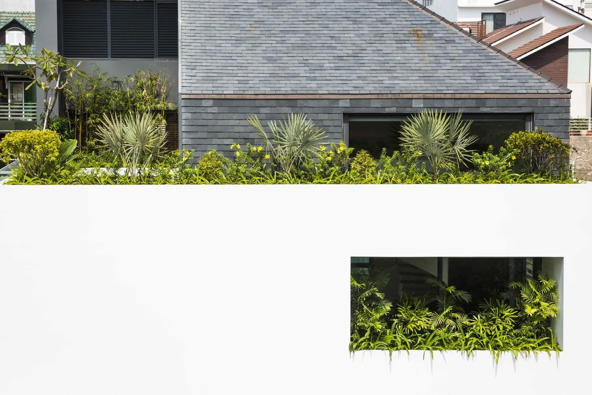 Modern Box House Design: Incorporating Lush Greenery as Living Decorative Patterns