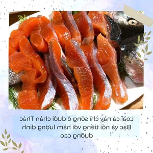 7 Must-Try Lao Cai Culinary Specialties in Vietnam's Northern Highlands - image 6
