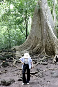 Summer Escape: Finding Cool Refuge in the Lush Nam Cat Tien National Park - image 7