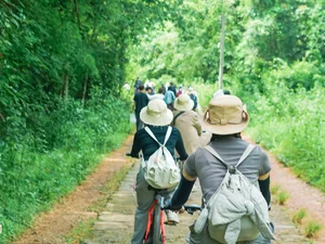 Summer Escape: Finding Cool Refuge in the Lush Nam Cat Tien National Park - image 5