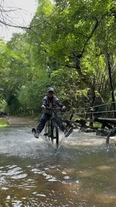Summer Escape: Finding Cool Refuge in the Lush Nam Cat Tien National Park - image 9