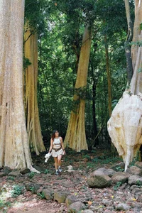 Summer Escape: Finding Cool Refuge in the Lush Nam Cat Tien National Park - image 3