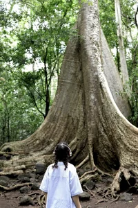 Summer Escape: Finding Cool Refuge in the Lush Nam Cat Tien National Park - image 8