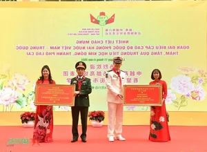 Meeting of Vietnam and China National Defense Ministers - image 0