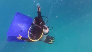 Ly Son Island Releases Egg-Bearing King Crabs to Restore Marine Ecosystem - image 0