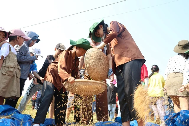 Discovering the Cultural Heritage and Traditional Festivals of Quang Ngai Province, Vietnam