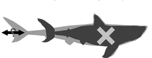 New Scientific Discovery: Megalodon Was Slimmer Than Previously Thought - image 0