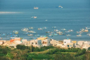 Phu Quy Island Adventure: Fresh Seafood and Breathtaking Coastal Views - image 0