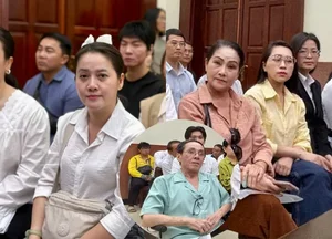 The Inheritance Dispute of Meritorious Artist Vũ Linh: Why the Appeal Trial Was Postponed - image 3