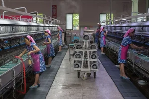 A Rare Glimpse: Everyday Life in North Korea Captured in 2018 - image 0