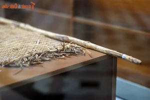 Historic Artifacts from the Shocking 'Journalists Go Begging' Protest in Saigon 1974 - image 1