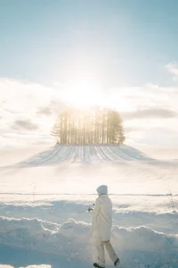 Experience the Magic of Snow Season in Hokkaido: Japan’s Winter Wonderland - image 9