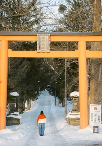 Experience the Magic of Snow Season in Hokkaido: Japan’s Winter Wonderland - image 10