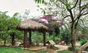 Life in the Mountains: The Talented NSƯT Finds Peace in Solitude - image 3