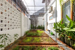 Stunning 170m² Da Nang Home: Terracotta Facade and Spiral Stairs - image 24