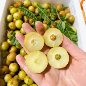 From Forest Waste to Expensive Delicacies: The Rise of Three Traditional Wild Fruits - image 6