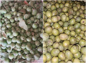 From Forest Waste to Expensive Delicacies: The Rise of Three Traditional Wild Fruits - image 7
