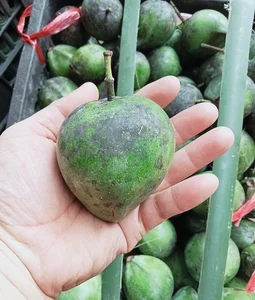 From Forest Waste to Expensive Delicacies: The Rise of Three Traditional Wild Fruits - image 1