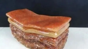 Rare 'Pork Stone' Found in China: The Surprising Value of a Meat-Shaped Rock - image 4