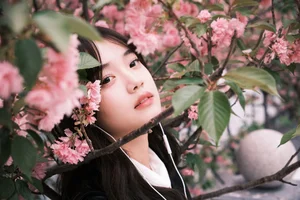 Classic School Style Aesthetics in YiTuYu Art Language Vol.6811 - image 16