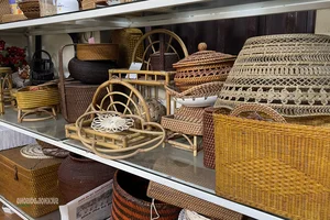 Youth of Phu Vinh Bamboo and Rattan Village Preserve Vietnamese Traditional Crafts in 2026 - image 3