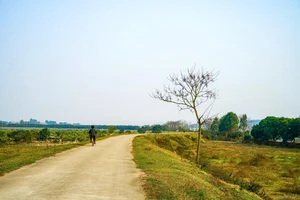 The Unique Cultural Beauty of Bắc Ninh: The Hometown of Singer Hòa Minzy - image 3