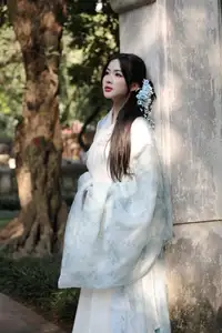 Discovering Traditional East Asian Beauty: Elegant Young Woman in Ancient Vietnamese Setting - image 0