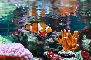 Nature's Gender-Benders: 4 Animals with Incredible Biological Flexibility - image 5