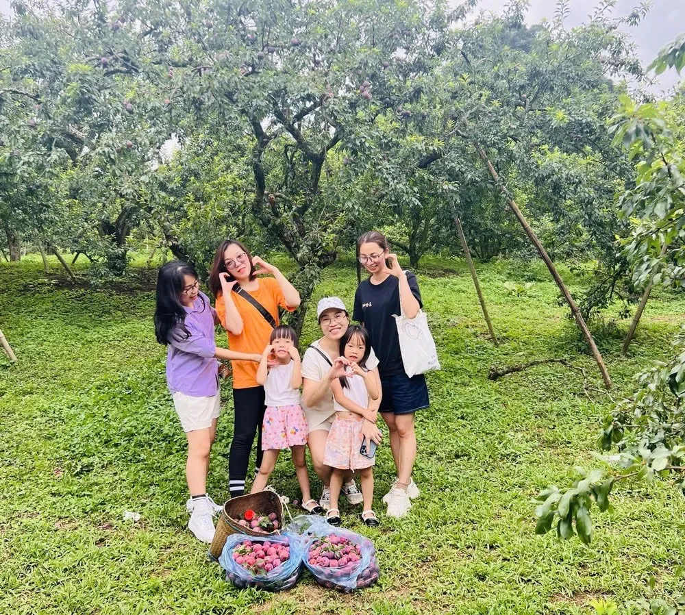 Best Summer Family Vacation Destinations for the June School Holidays